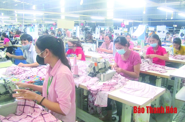 Huyện Hậu Lộc: Thực hiện đồng bộ các giải pháp phát triển doanh nghiệp