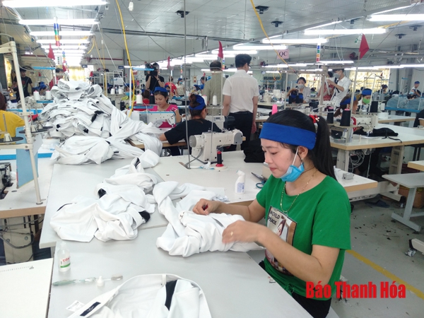 Agribank Nam Thanh Hóa ưu tiên nguồn vốn cho doanh nghiệp phát triển sản xuất, kinh doanh
