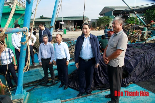 Tích cực thực hiện các giải pháp chống khai thác hải sản bất hợp pháp