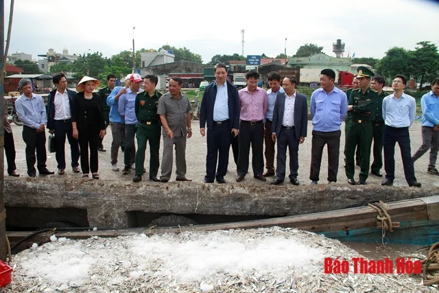 Tích cực thực hiện các giải pháp chống khai thác hải sản bất hợp pháp