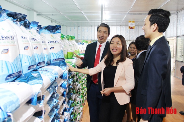 Công ty CP thương mại Sao Khuê khánh thành Nhà máy sản xuất chế biến lúa gạo tại xã Đông Hoàng
