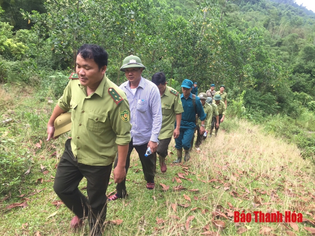 Ngăn chặn buôn lậu lâm sản, bảo vệ rừng trên địa bàn các huyện miền núi