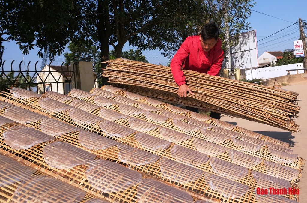 Làng nghề vào Tết: Rộn ràng làng nghề bánh đa nem Đắc Châu