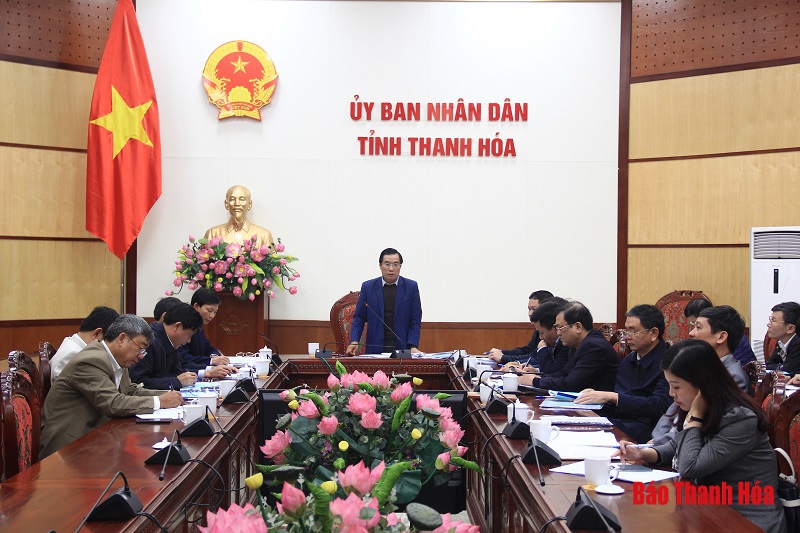 Thảo luận phương án quy hoạch phát triển văn hóa, thể thao và du lịch; giáo dục và đào tạo tỉnh Thanh Hóa
