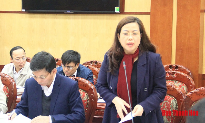 Thảo luận phương án quy hoạch phát triển văn hóa, thể thao và du lịch; giáo dục và đào tạo tỉnh Thanh Hóa