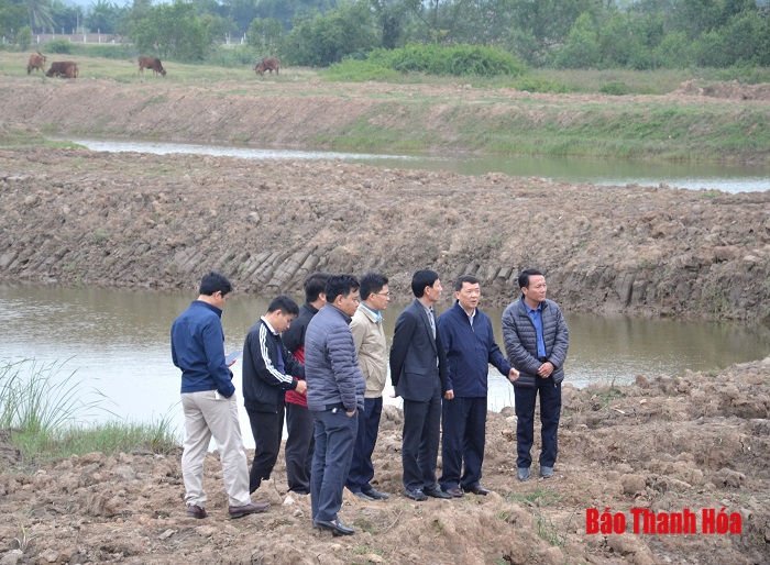 Sớm xử lý dứt điểm vi phạm trên các tuyến đê Hậu Lộc