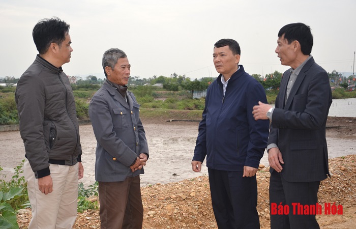 Sớm xử lý dứt điểm vi phạm trên các tuyến đê Hậu Lộc