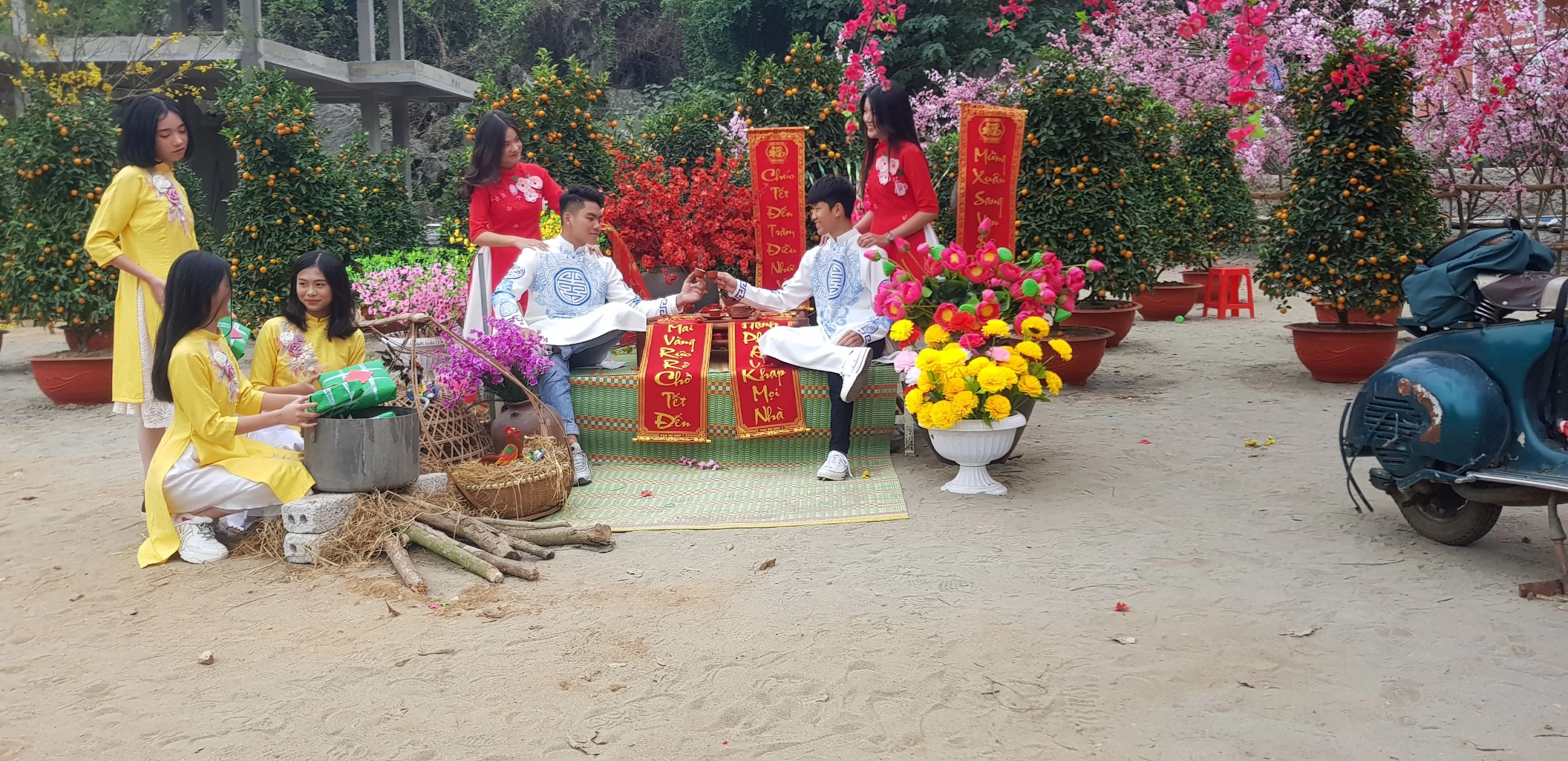 Điểm check-in chụp ảnh cực hot những ngày giáp Tết nguyên đán Canh Tý