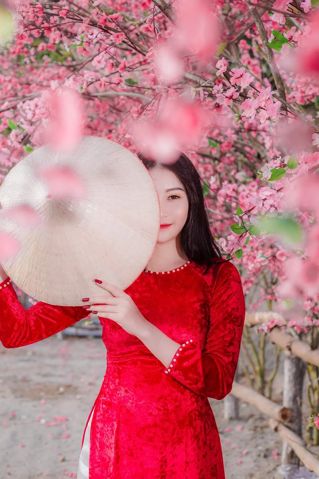 Điểm check-in chụp ảnh cực hot những ngày giáp Tết nguyên đán Canh Tý