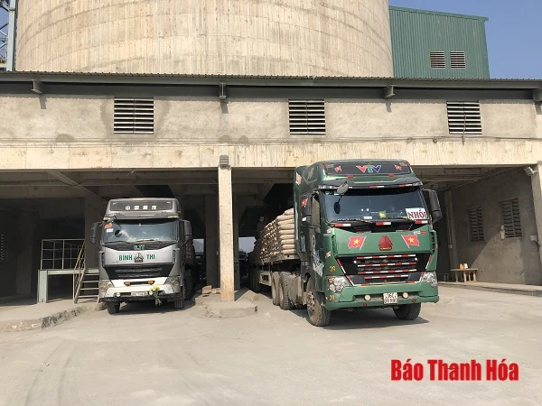Công ty CP xi măng Bỉm Sơn ra quân sản xuất đầu năm