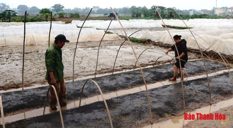 Xuống đồng đầu năm