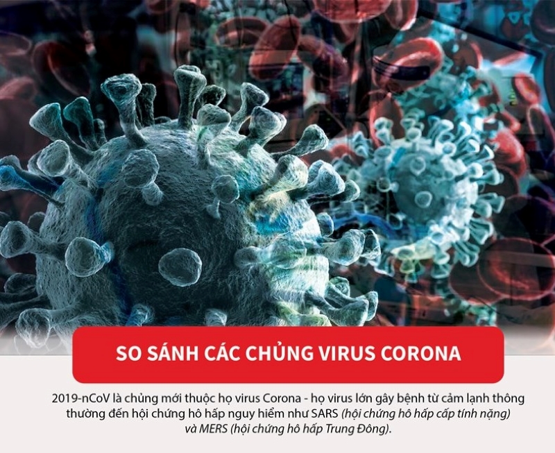 [Infographics] So sánh các chủng thuộc họ virus corona