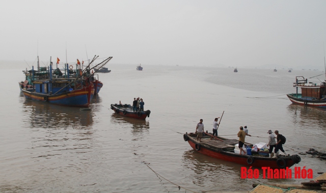 Tăng cường thực hiện các giải pháp chống khai thác hải sản bất hợp pháp trên địa bàn tỉnh Thanh Hóa