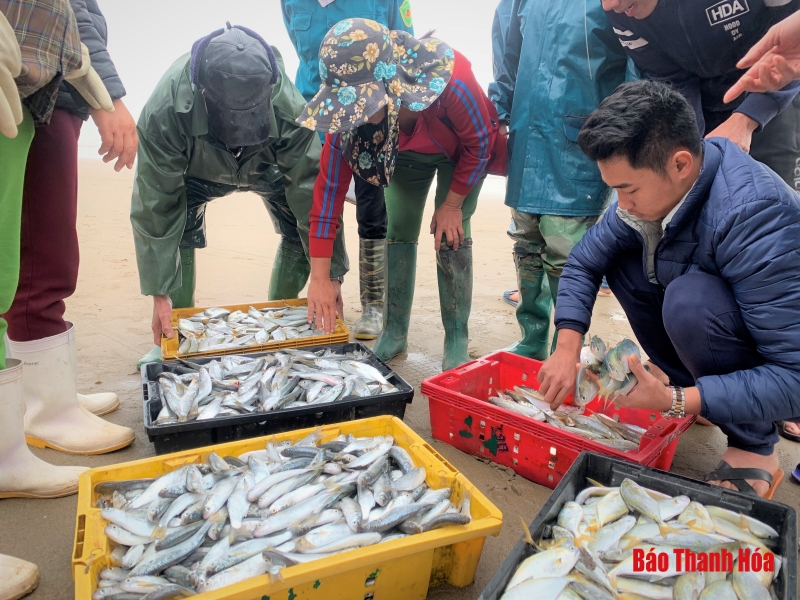 Nhộn nhịp chợ cá ven biển Hải Tiến ngày đầu năm