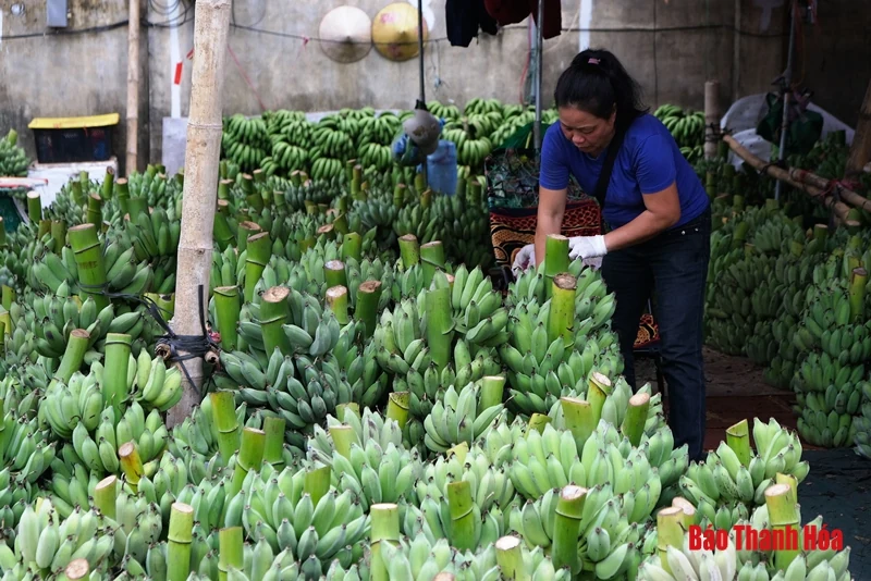 Nhộp nhịp chợ Rằm tháng Giêng