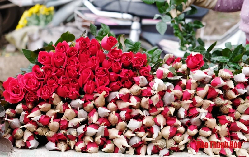 Nhộp nhịp chợ Rằm tháng Giêng