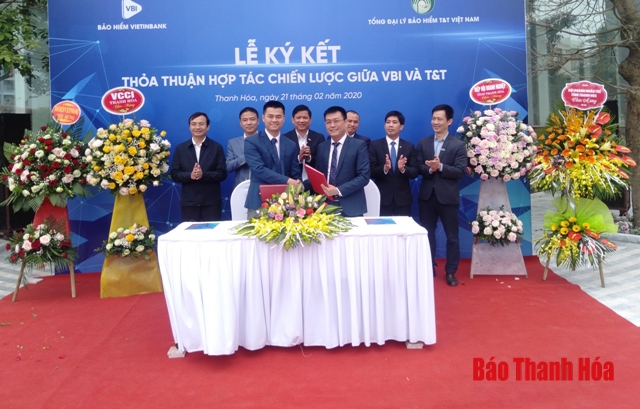 VBI Thanh Hóa ký kết thỏa thuận hợp tác với Công ty TNHH Tổng đại lý bảo hiểm T&T Việt Nam