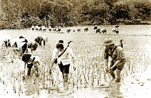 Nhân dân Thanh Hóa thi đua sản xuất và chiến đấu “Vì miền Nam ruột thịt, vì Quảng Nam kết nghĩa”
