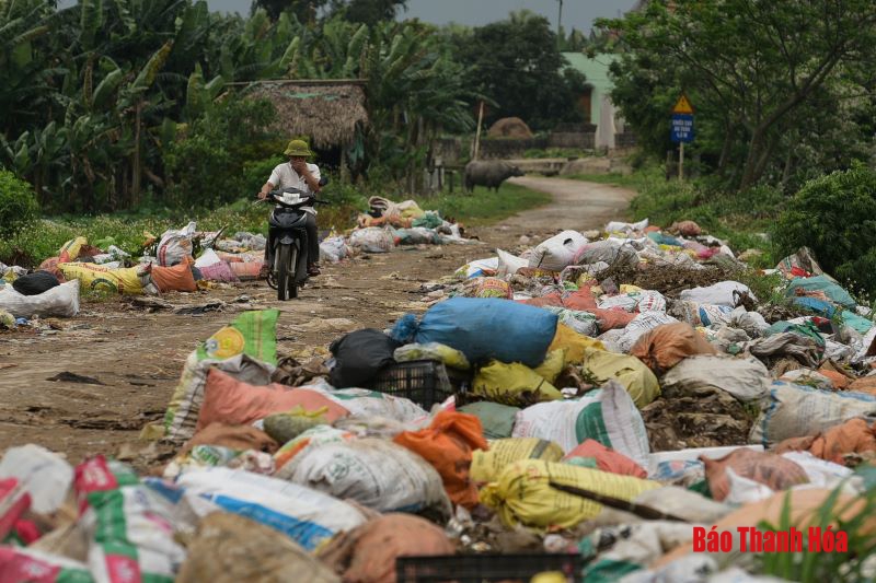 Xã Thanh Thủy (Tĩnh Gia): Rác thải “bủa vây” đường liên xã