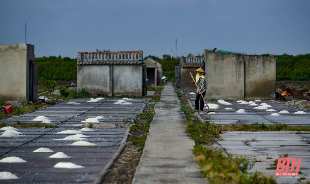 Nhọc nhằn nghề muối