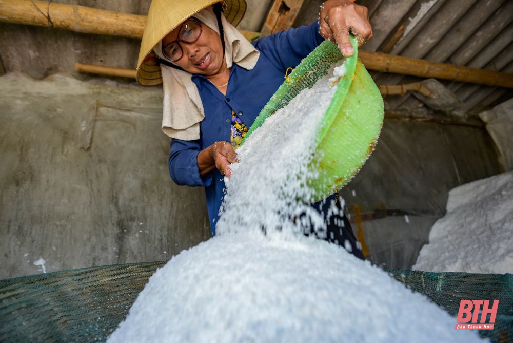 Nhọc nhằn nghề muối