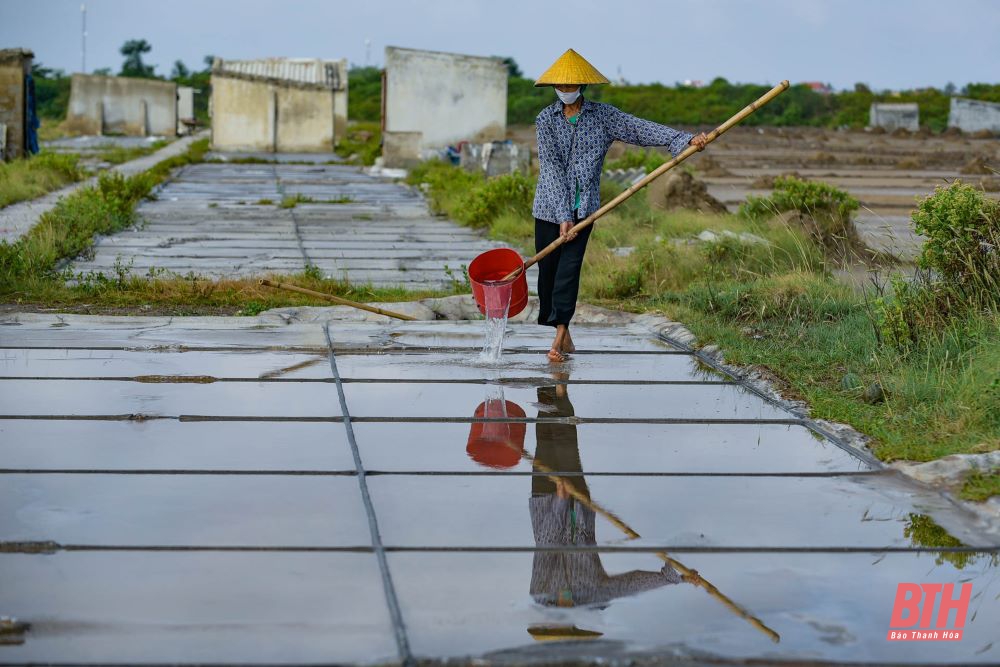 Nhọc nhằn nghề muối