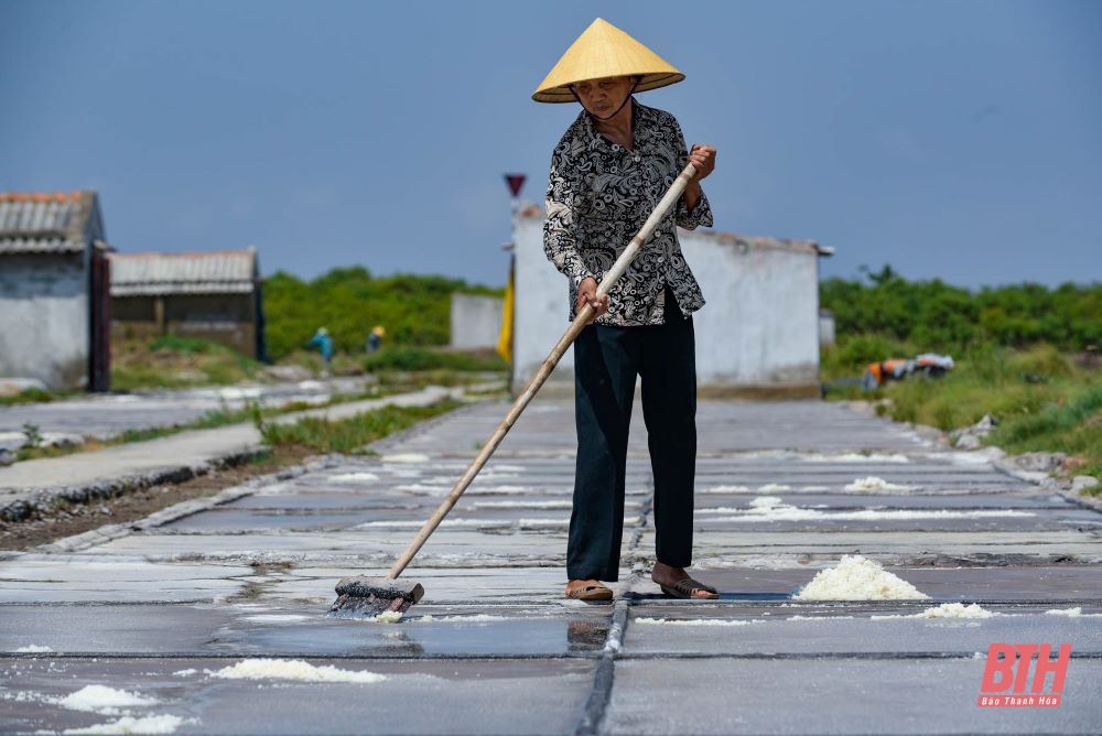 Nhọc nhằn nghề muối