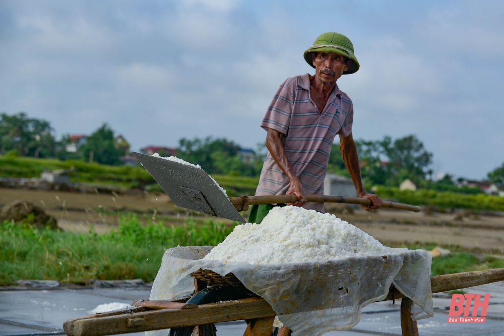 Nhọc nhằn nghề muối