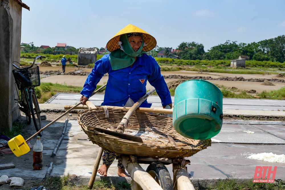 Nhọc nhằn nghề muối