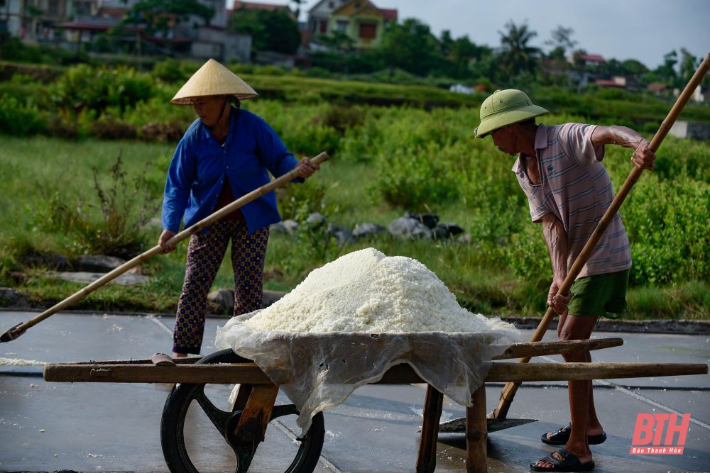Nhọc nhằn nghề muối