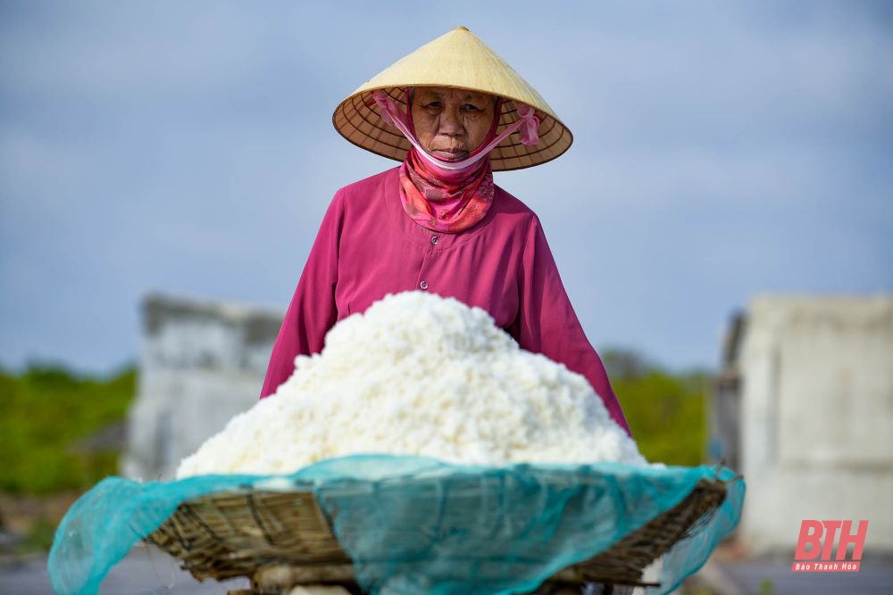 Nhọc nhằn nghề muối