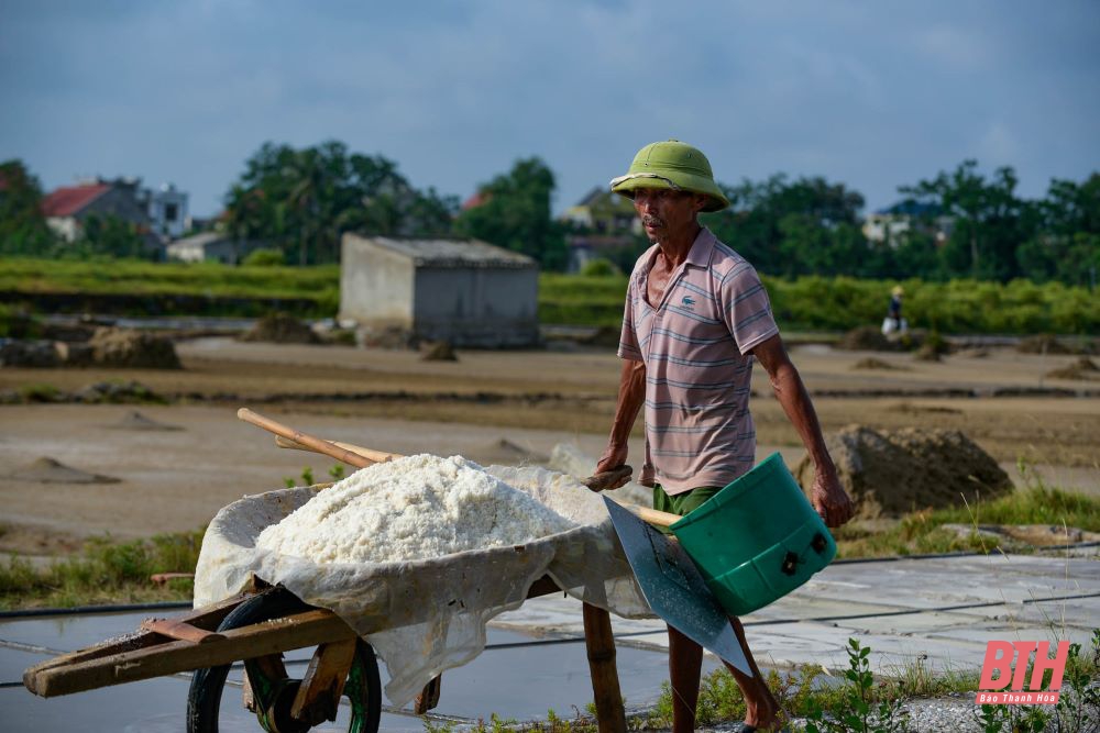 Nhọc nhằn nghề muối