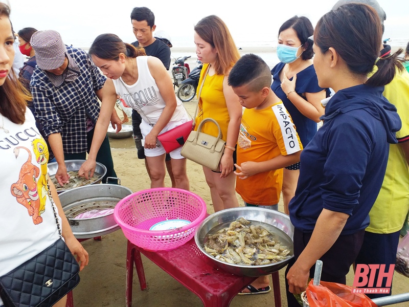 Khám phá chợ hải sản biển Hải Hòa