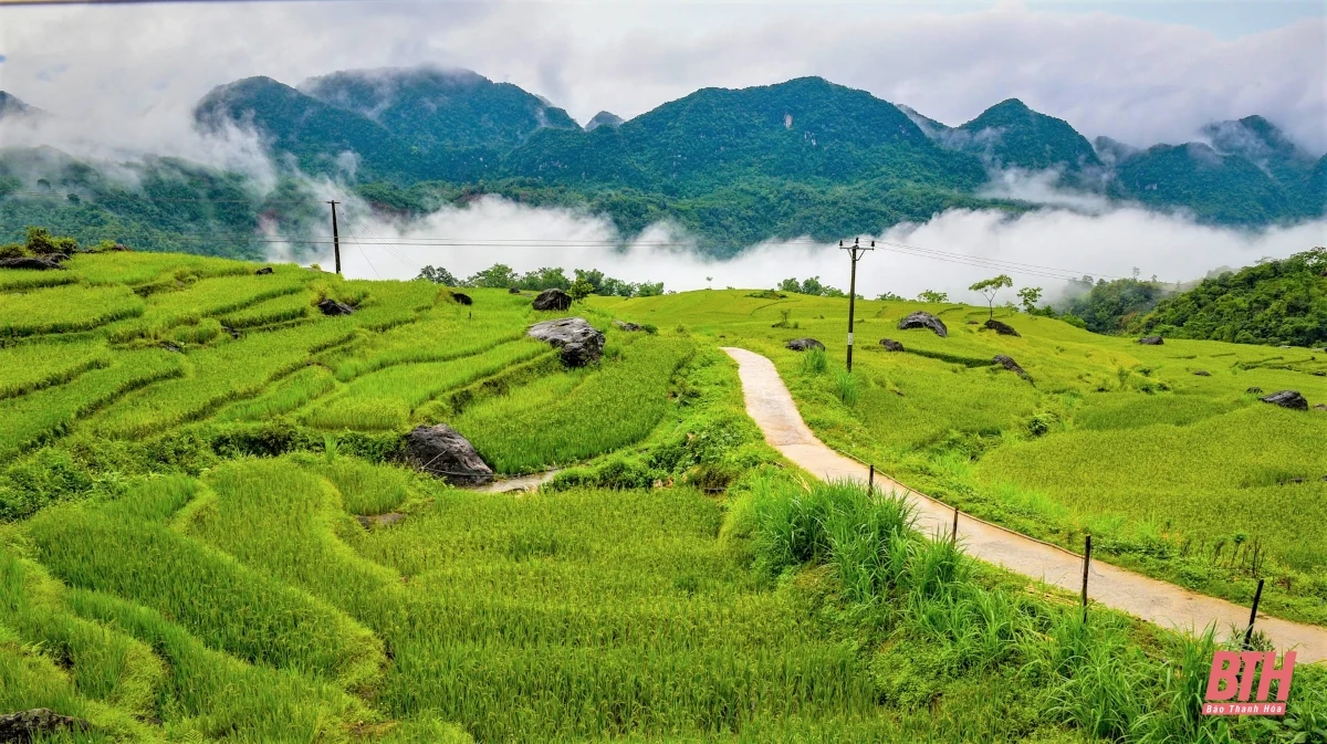 Du lịch miền Tây xứ Thanh: Pù Luông hút hồn du khách