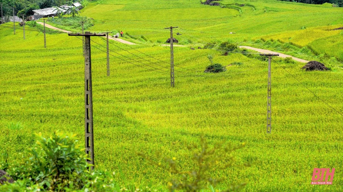 Du lịch miền Tây xứ Thanh: Pù Luông hút hồn du khách