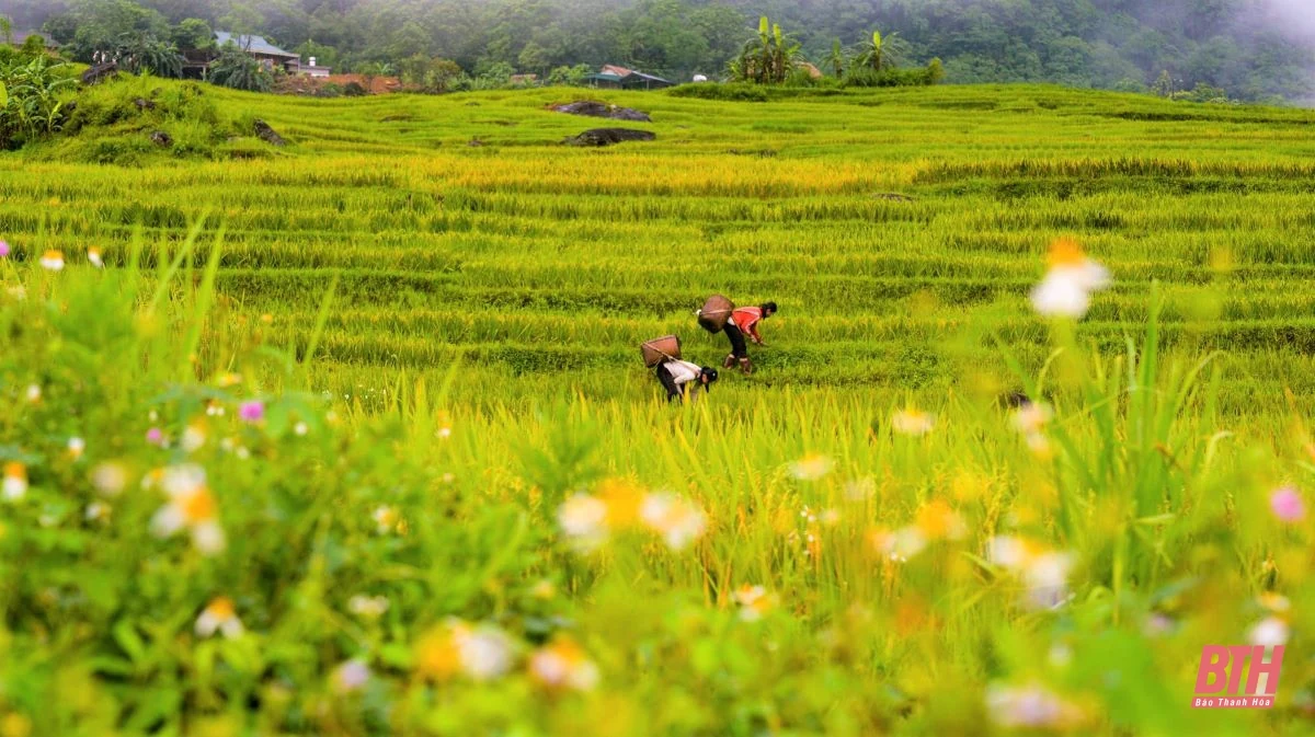 Du lịch miền Tây xứ Thanh: Pù Luông hút hồn du khách