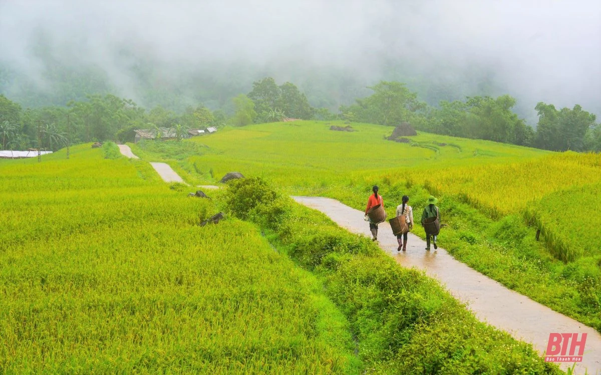 Du lịch miền Tây xứ Thanh: Pù Luông hút hồn du khách