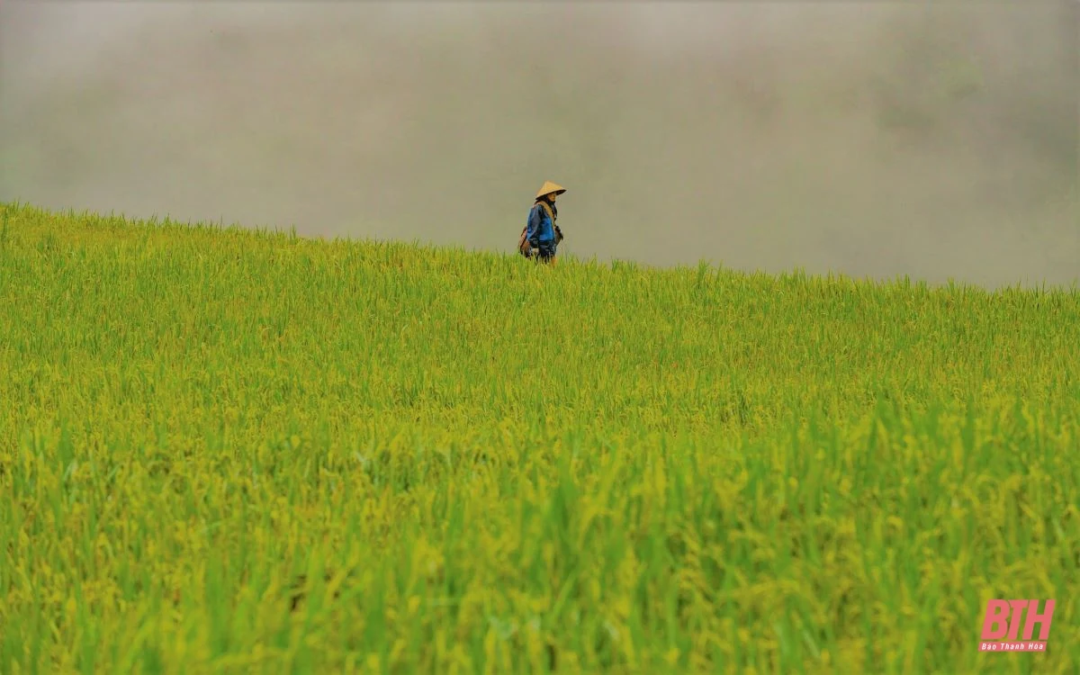 Du lịch miền Tây xứ Thanh: Pù Luông hút hồn du khách