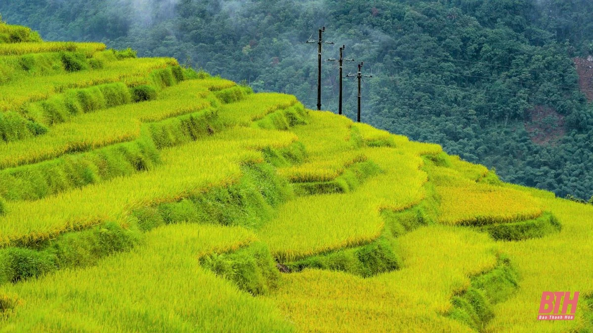 Du lịch miền Tây xứ Thanh: Pù Luông hút hồn du khách