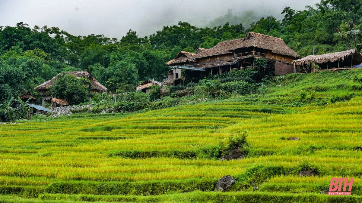 Du lịch miền Tây xứ Thanh: Pù Luông hút hồn du khách