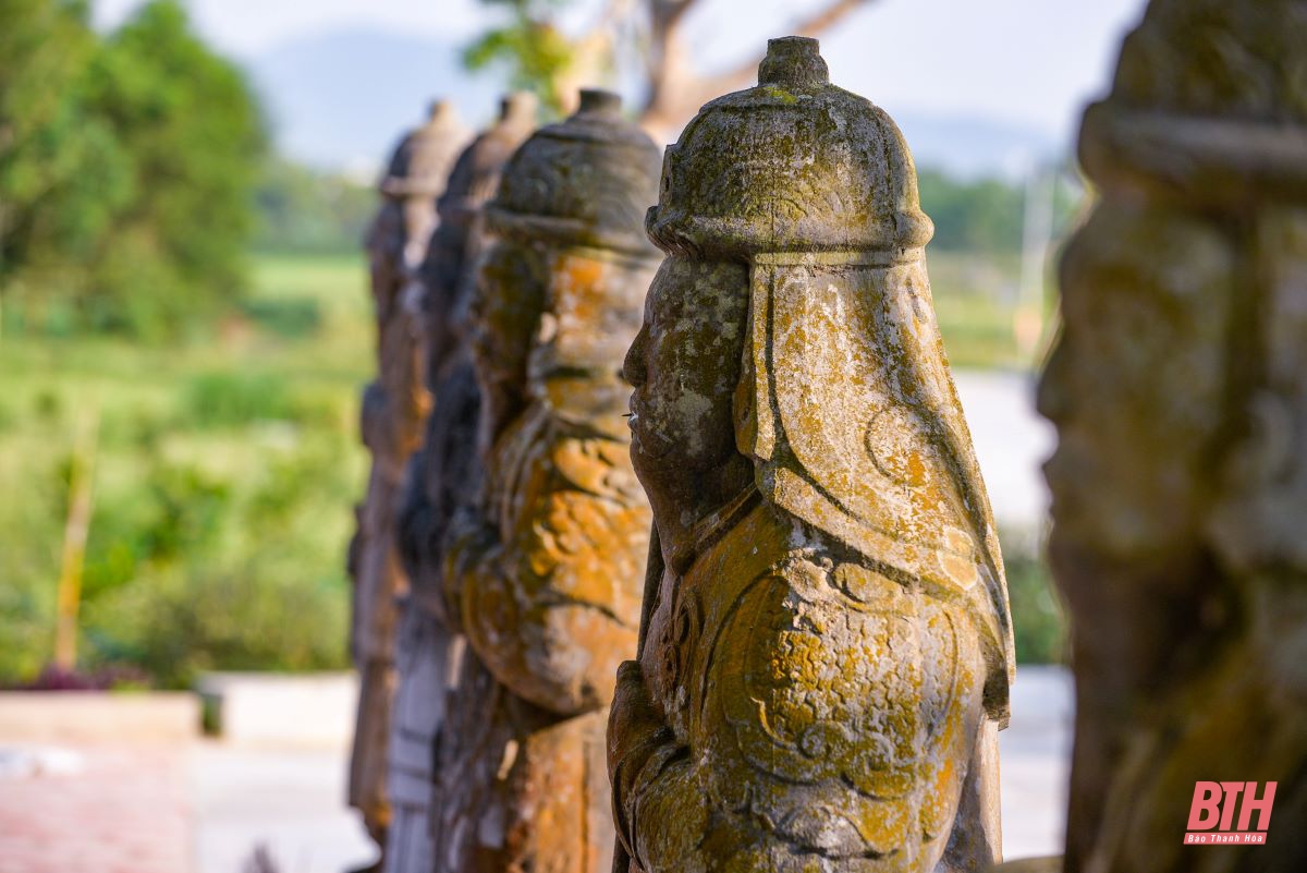 12 pho tượng đá và cây hoa đại hàng trăm năm tuổi ở khu di tích Đa Bút