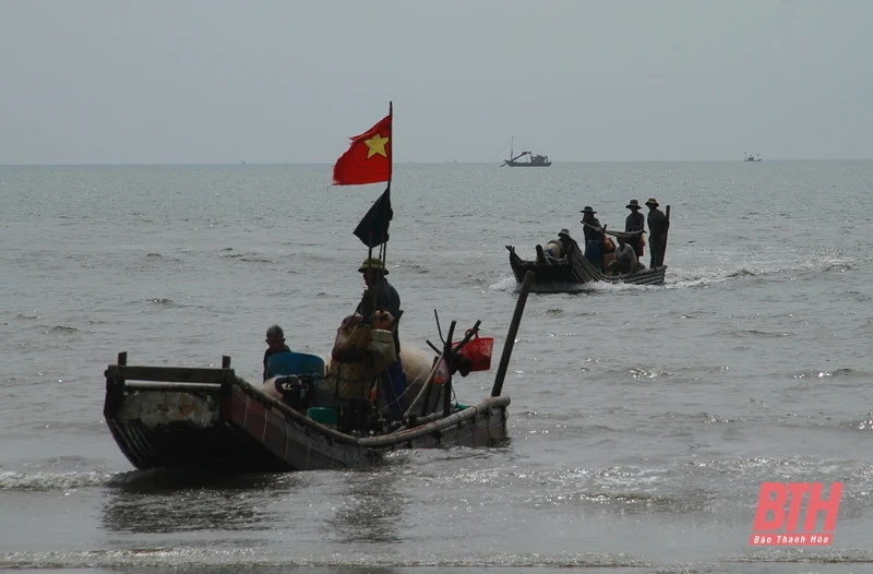 Biển Hải Tiến vào mùa moi