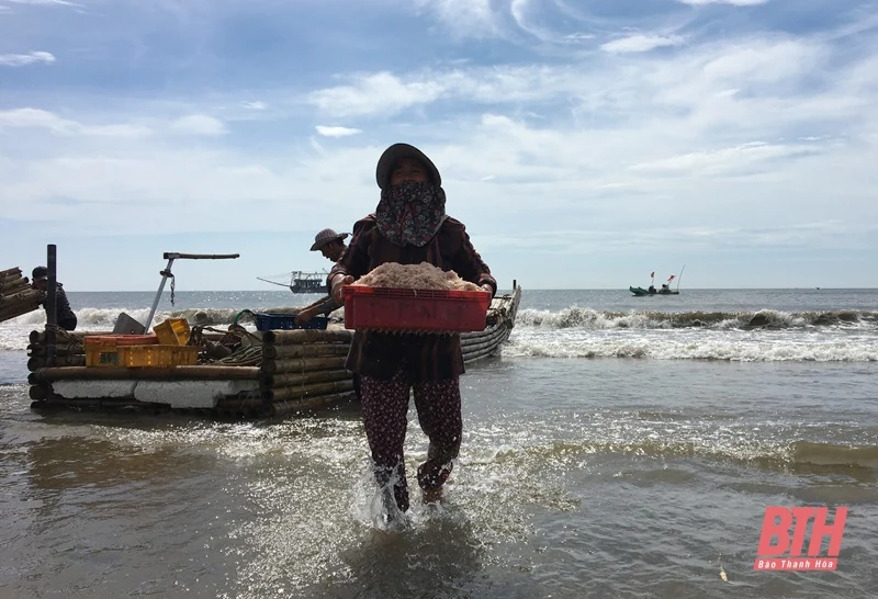 Biển Hải Tiến vào mùa moi