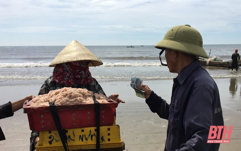 Biển Hải Tiến vào mùa moi