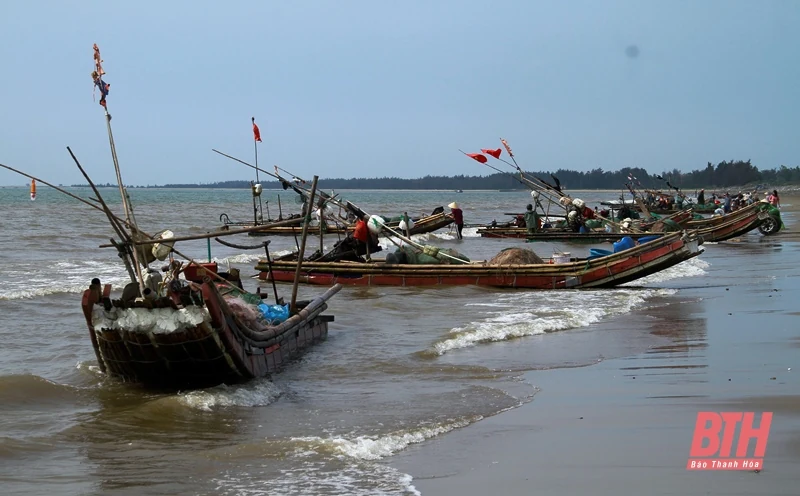 Biển Hải Tiến vào mùa moi