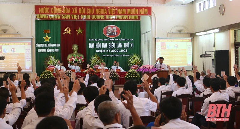 Lasuco sáng tạo, đoàn kết, hợp tác, trung thực, thân thiện