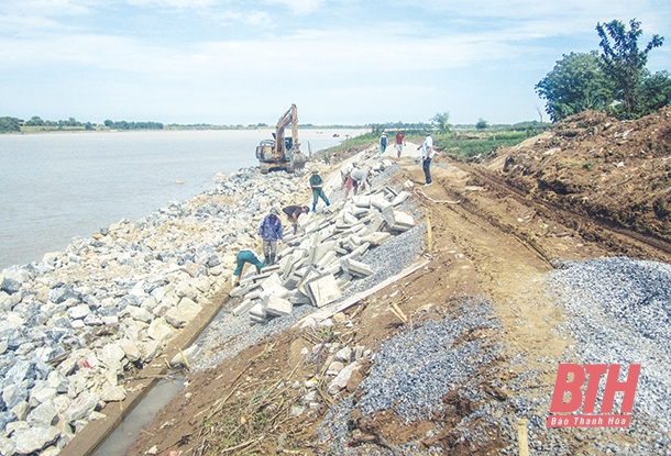 Phương án trọng điểm hộ đê phòng, chống lụt bão đê tả sông Chu và cống Ngọc Quang năm 2020