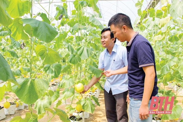 Thanh Hóa khơi dậy tiềm năng phát triển nông nghiệp công nghệ cao