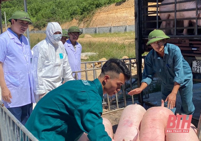 Thứ trưởng Bộ NN&PTNT kiểm tra công tác khôi phục sản xuất chăn nuôi lợn trên địa bàn tỉnh Thanh Hóa
