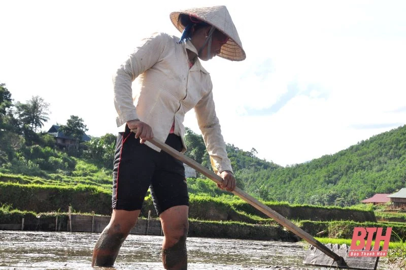 Người dân vùng cao vất vả vì nắng nóng